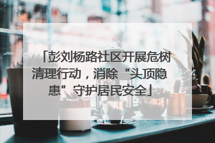 彭刘杨路社区开展危树清理行动，消除“头顶隐患”守护居民安全