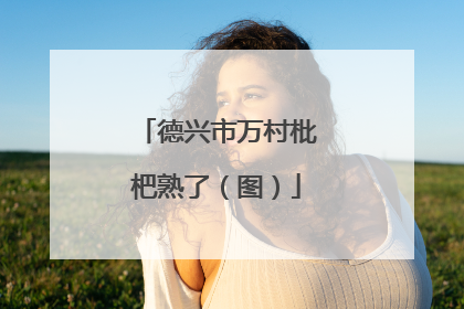 德兴市万村枇杷熟了（图）