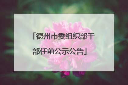 德州市委组织部干部任前公示公告