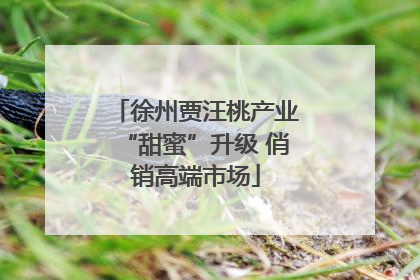 徐州贾汪桃产业“甜蜜”升级 俏销高端市场