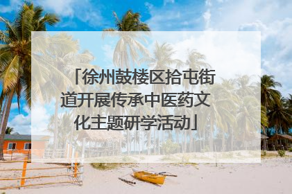 徐州鼓楼区拾屯街道开展传承中医药文化主题研学活动