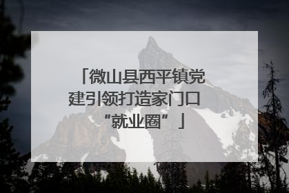 微山县西平镇党建引领打造家门口“就业圈”