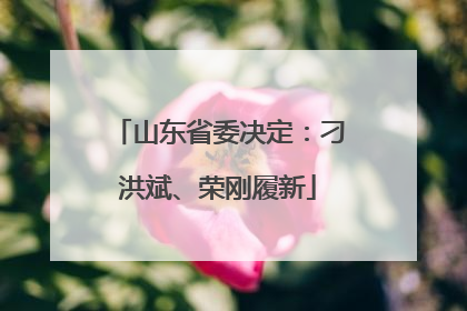 山东省委决定：刁洪斌、荣刚履新