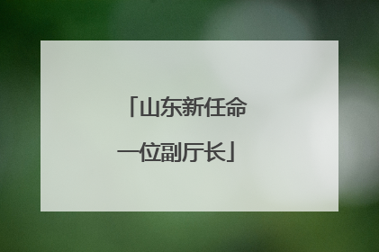 山东新任命一位副厅长