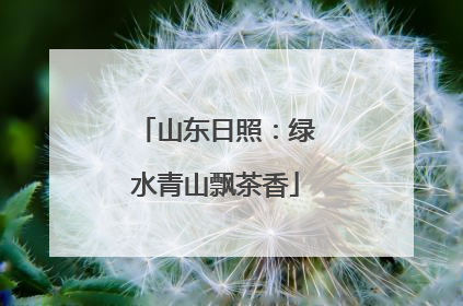 山东日照：绿水青山飘茶香