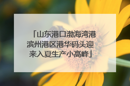 山东港口渤海湾港滨州港区港华码头迎来入夏生产小高峰