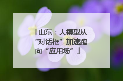 山东：大模型从“对话框”加速跑向“应用场”