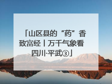 山区县的“药”香致富经丨万千气象看四川·平武③