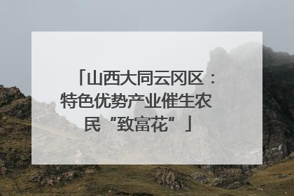 山西大同云冈区：特色优势产业催生农民“致富花”