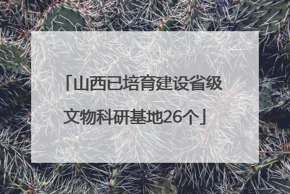 山西已培育建设省级文物科研基地26个