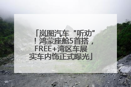 岚图汽车“听劝”！鸿蒙座舱5首搭，FREE+湾区车展实车内饰正式曝光