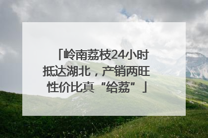 岭南荔枝24小时抵达湖北，产销两旺性价比真“给荔”