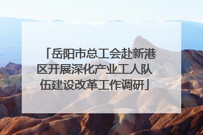岳阳市总工会赴新港区开展深化产业工人队伍建设改革工作调研