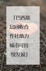 巴西基层回收合作社助力城市可持续发展