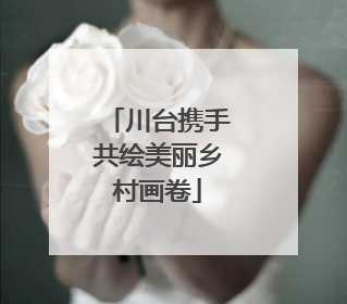 川台携手共绘美丽乡村画卷