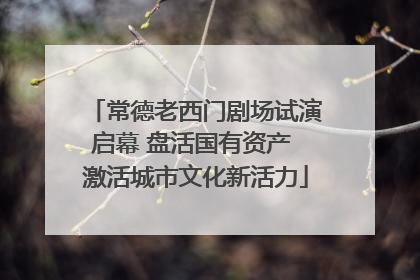 常德老西门剧场试演启幕 盘活国有资产 激活城市文化新活力