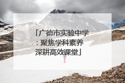 广德市实验中学：聚焦学科素养 深耕高效课堂