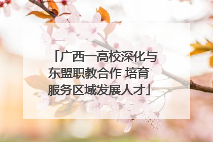 广西一高校深化与东盟职教合作 培育服务区域发展人才