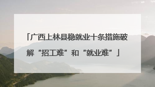 广西上林县稳就业十条措施破解“招工难”和“就业难”