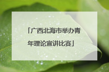 广西北海市举办青年理论宣讲比赛