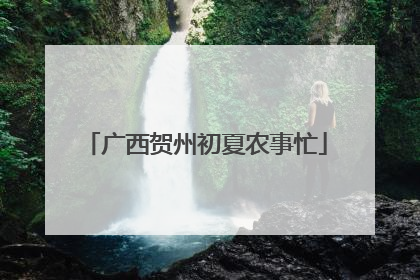 广西贺州初夏农事忙