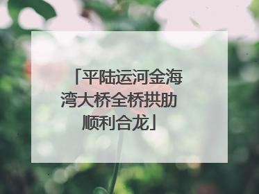 平陆运河金海湾大桥全桥拱肋顺利合龙
