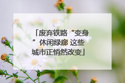 废弃铁路“变身”休闲绿廊 这些城市正悄然改变