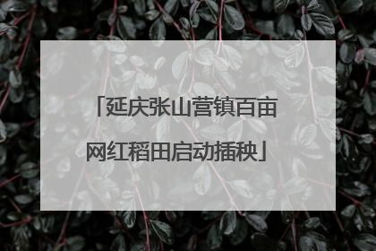 延庆张山营镇百亩网红稻田启动插秧