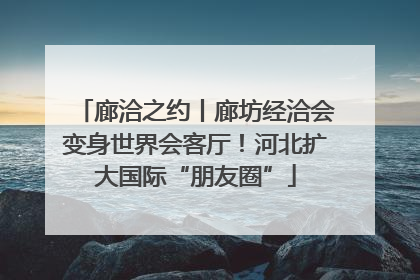 廊洽之约丨廊坊经洽会变身世界会客厅！河北扩大国际“朋友圈”