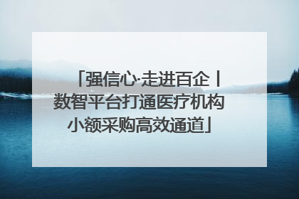 强信心·走进百企丨数智平台打通医疗机构小额采购高效通道