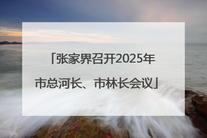 张家界召开2025年市总河长、市林长会议