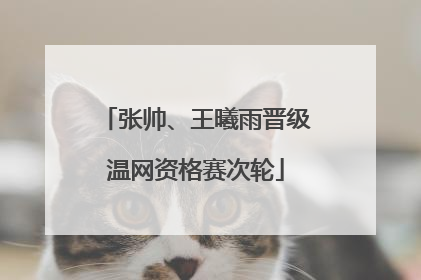 张帅、王曦雨晋级温网资格赛次轮