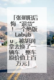 张朝阳后悔“退货”！一个绝版Labubu，被胡润拿去换了一辆车，整车原价值上百万元