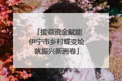 援疆资金赋能 伊宁市乡村蝶变绘就振兴新画卷