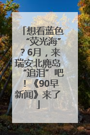 想看蓝色“荧光海”？6月，来瑞安北麂岛“追泪”吧！《90早新闻》来了
