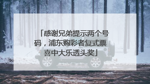 感谢兄弟提示两个号码，浦东购彩者复式票喜中大乐透头奖