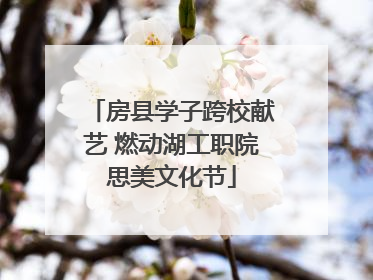 房县学子跨校献艺 燃动湖工职院思美文化节