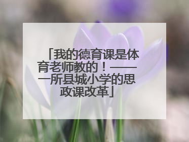 我的德育课是体育老师教的！——一所县城小学的思政课改革