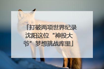 打破两项世界纪录 沈阳这位“神投大爷”梦想挑战库里