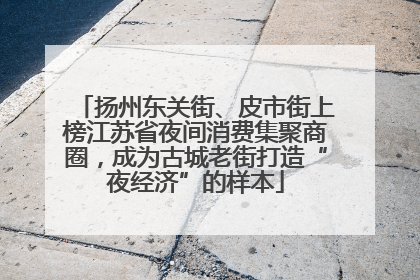 扬州东关街、皮市街上榜江苏省夜间消费集聚商圈，成为古城老街打造“夜经济”的样本