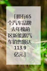 拥有65个汽车品牌 去年槐荫区新能源汽车销售额达113.9亿元
