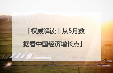 权威解读丨从5月数据看中国经济增长点