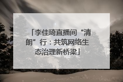 李佳琦直播间“清朗”行：共筑网络生态治理新桥梁