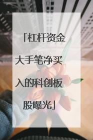 杠杆资金大手笔净买入的科创板股曝光
