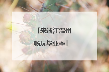 来浙江温州畅玩毕业季