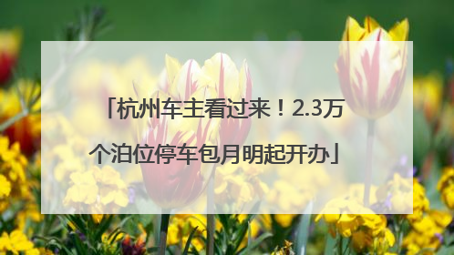 杭州车主看过来！2.3万个泊位停车包月明起开办