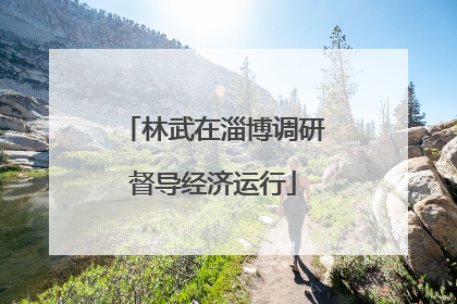林武在淄博调研督导经济运行