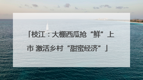 枝江：大棚西瓜抢“鲜”上市 激活乡村“甜蜜经济”