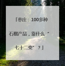 枣庄：100多种石榴产品，靠什么“七十二变”？