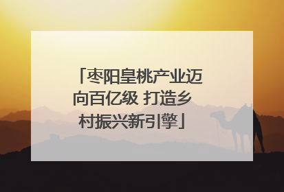 枣阳皇桃产业迈向百亿级 打造乡村振兴新引擎